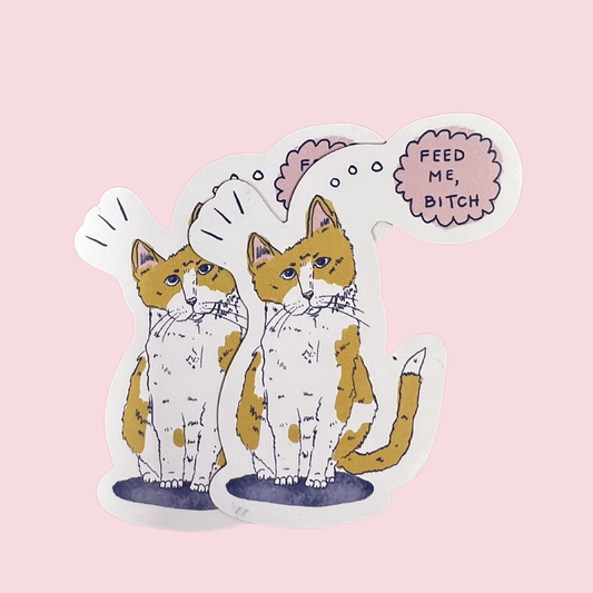 “Feed Me Bitch!” Cat Magnet