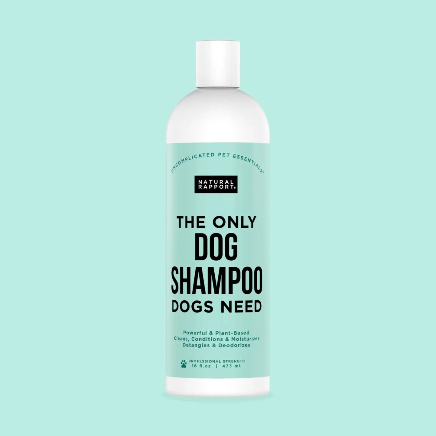 Dog Shampoo Dogs Need