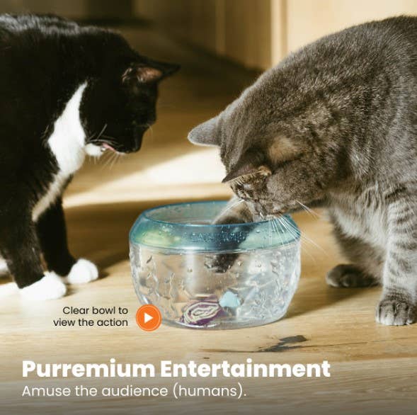 Catstages Meow-Smerizing Fish Bowl Cat Toy
