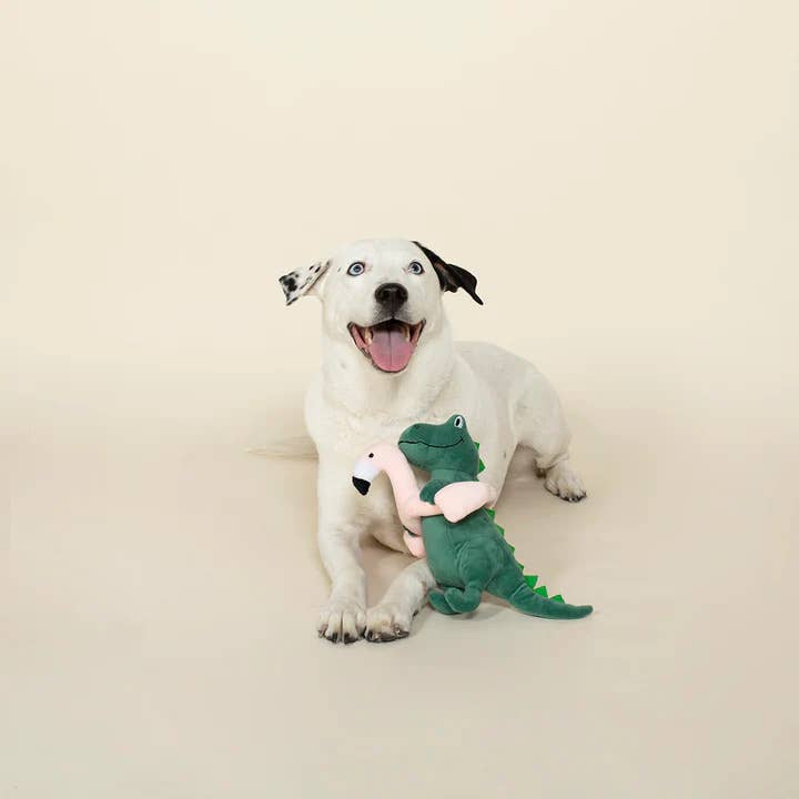 Fringe Studio Pool Time Rex Dog Toy