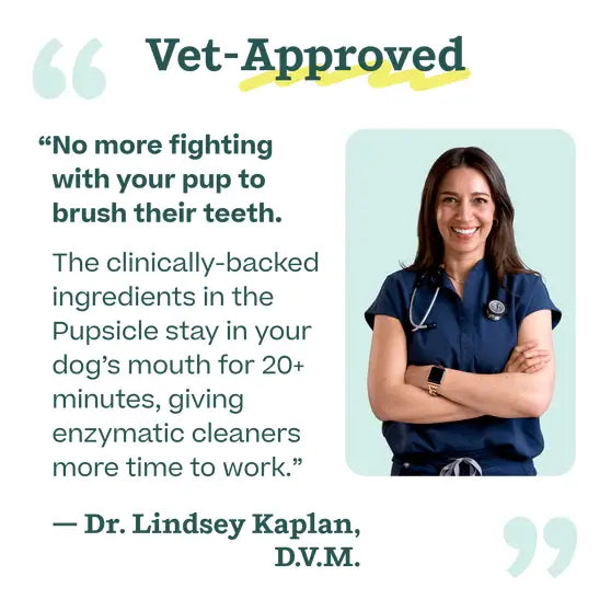 Pupsicle Mix - Doggy Dental