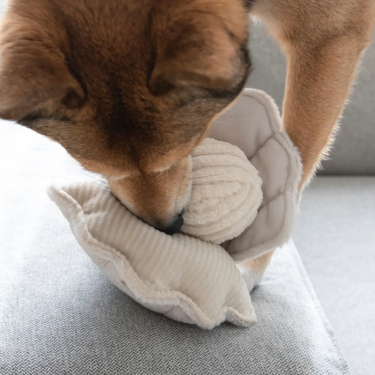 Oyster Pop Toy