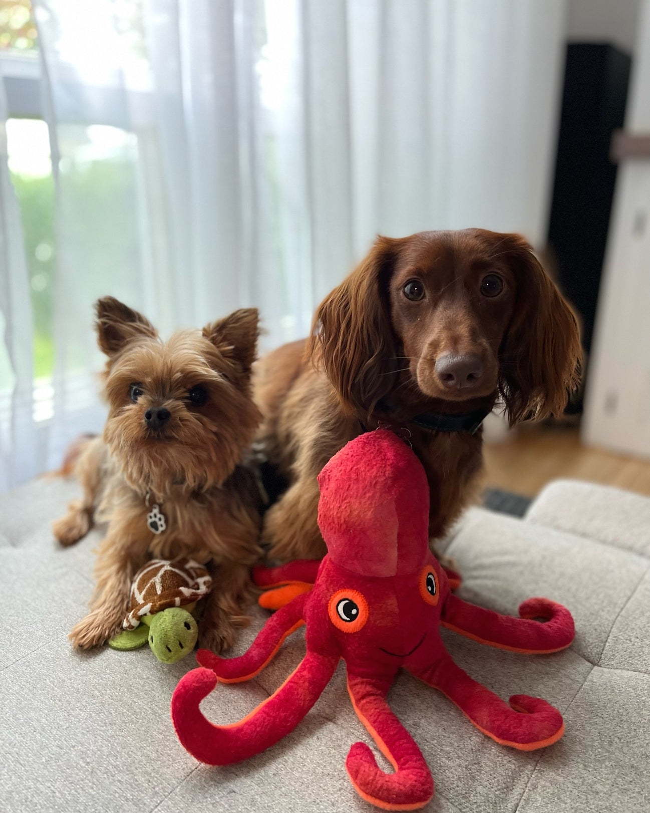 Snugarooz Olivia the Octopus Plush Dog Toy