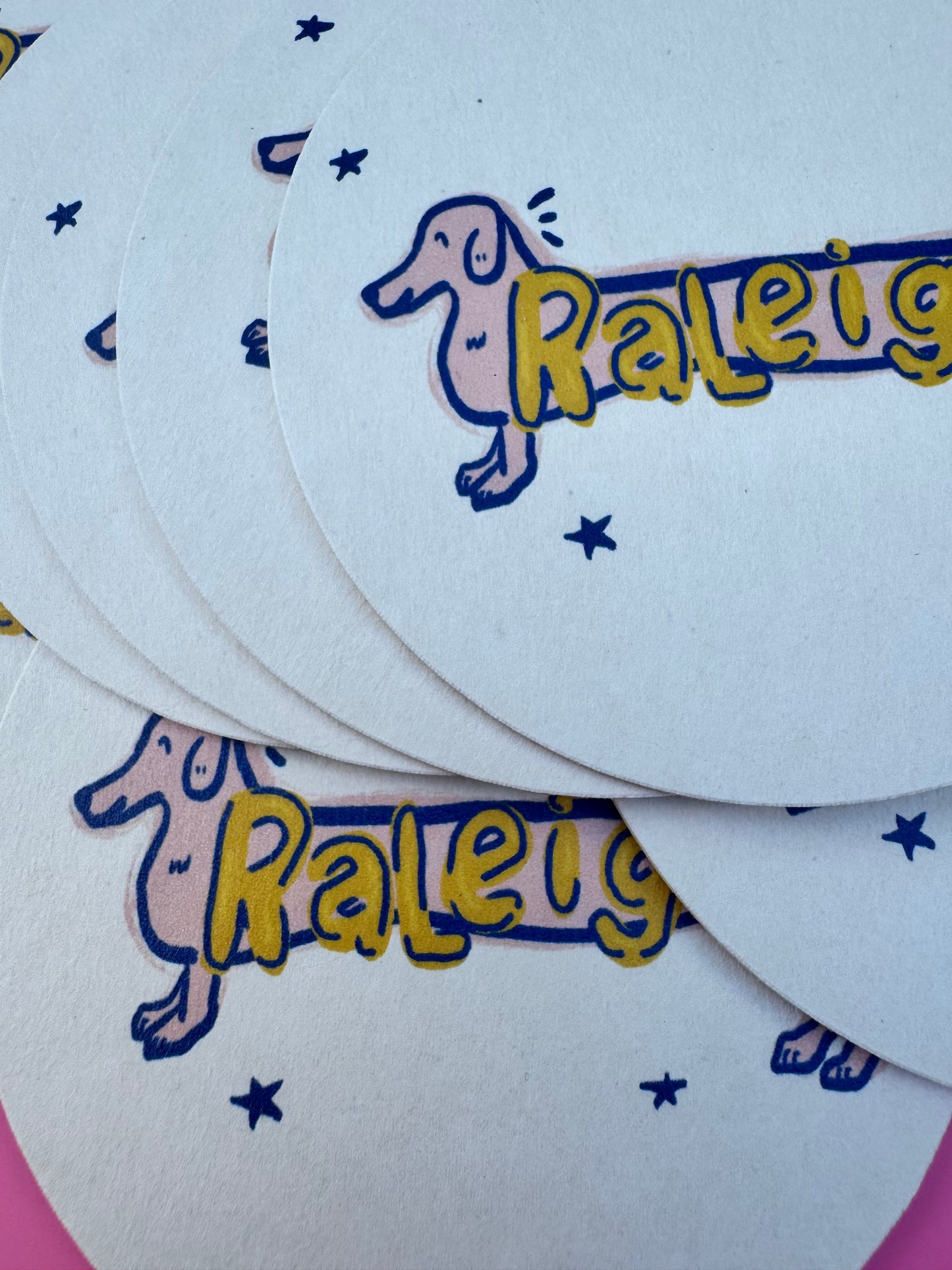Raleigh Dog Coaster
