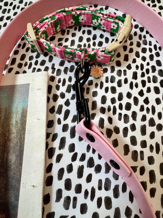 Daisies Collar