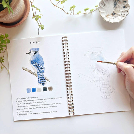 Bird- Watercolor Workbooks