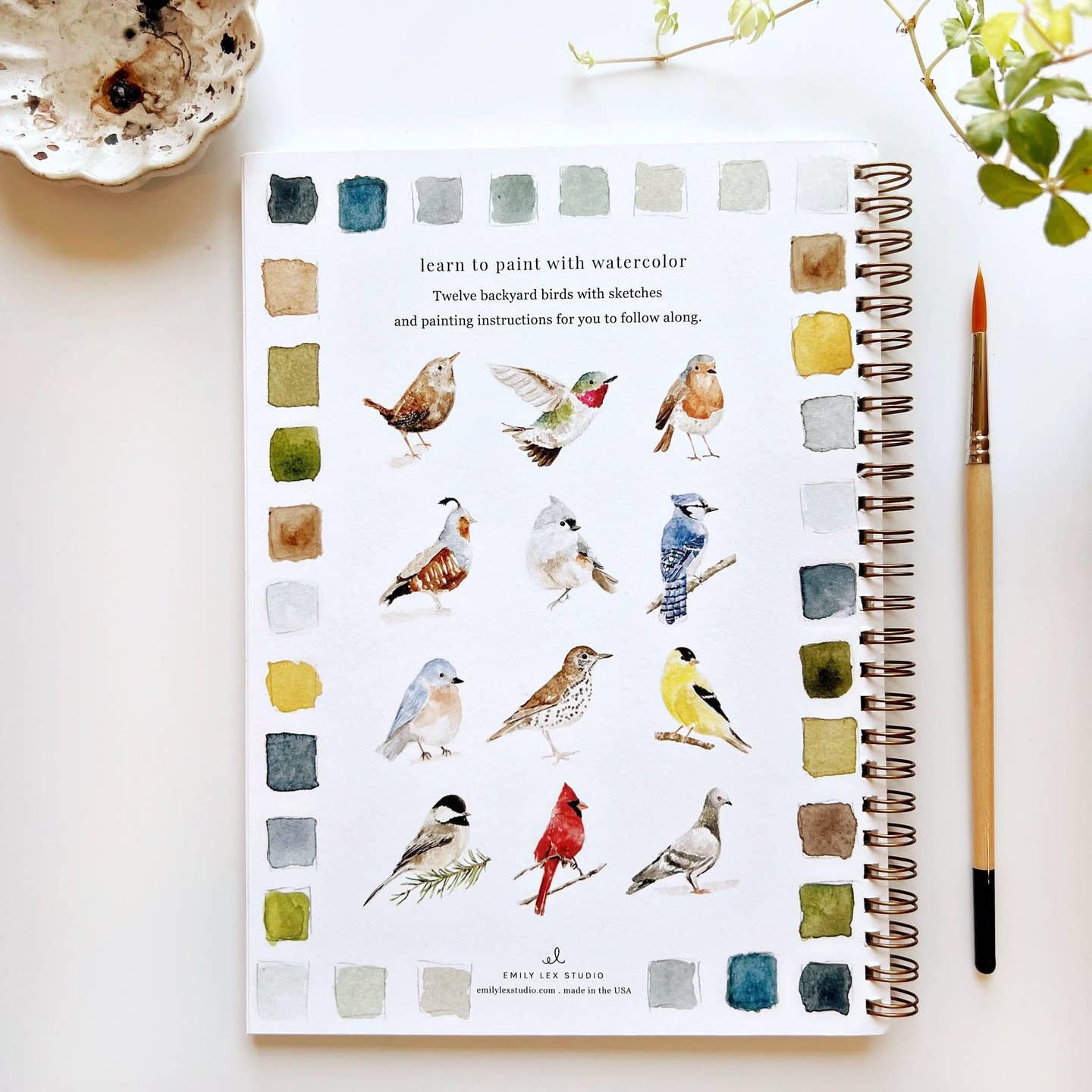 Bird- Watercolor Workbooks
