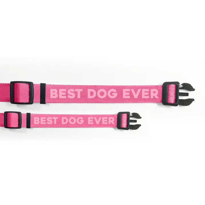 Best Dog Ever Collar