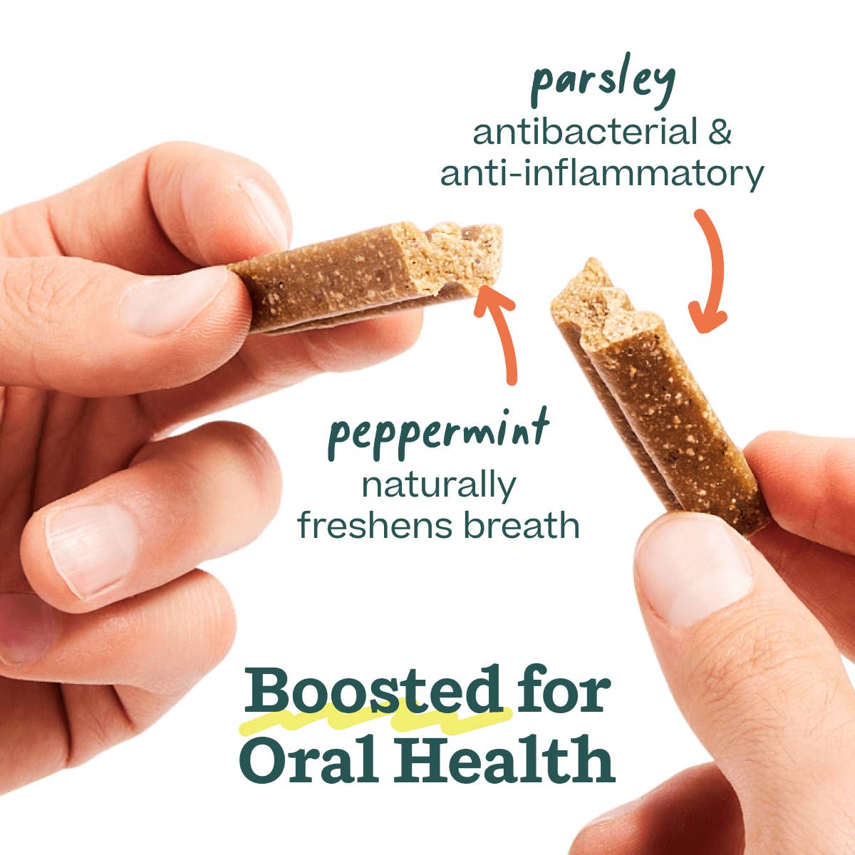 Bite n’ Brush Dental Refills - Chicken