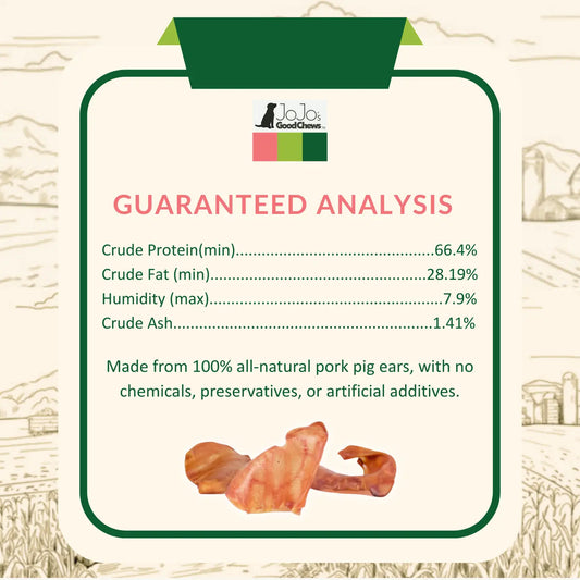 Premium Pig Ear
