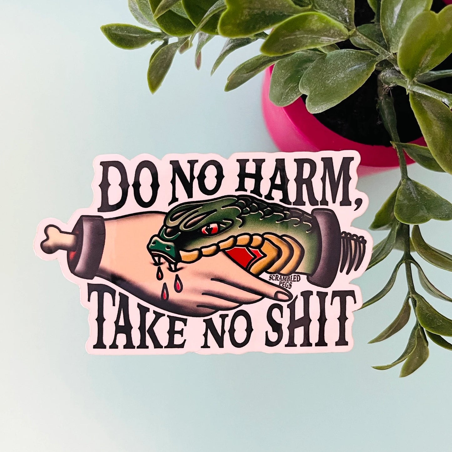 Do No Harm Take No Shit Sticker