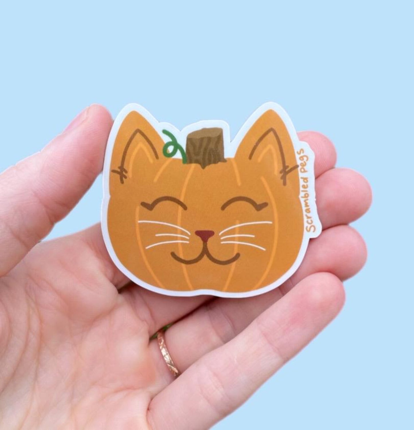 Pumpkin Cat