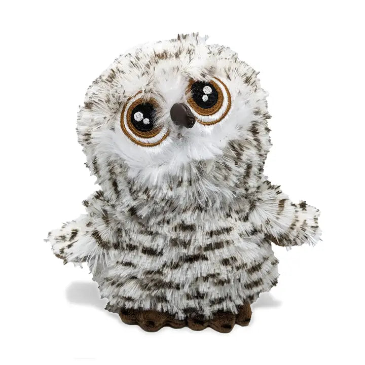 Big Eye Owl