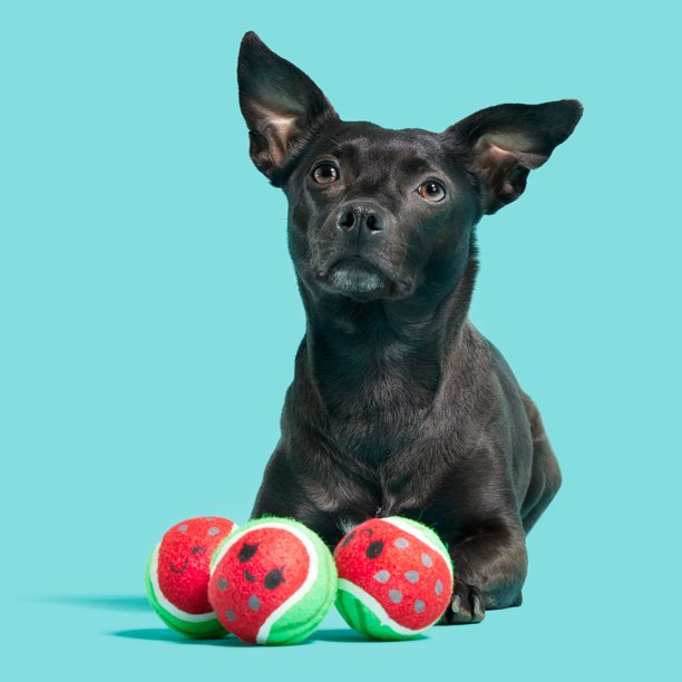 Bark Watermelon Tennis Balls
