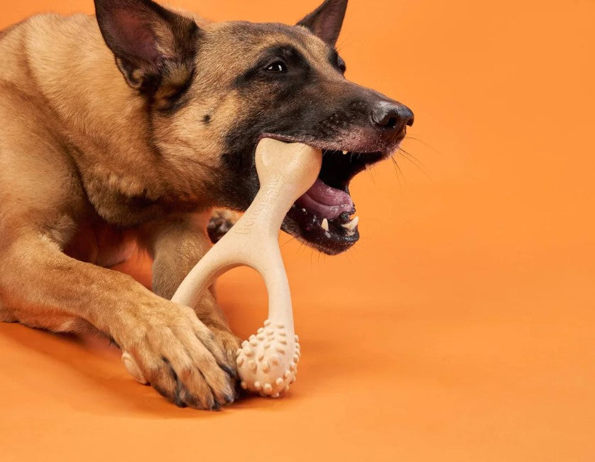 BetterBone HARD CLASSIC Dog Chew-MINI