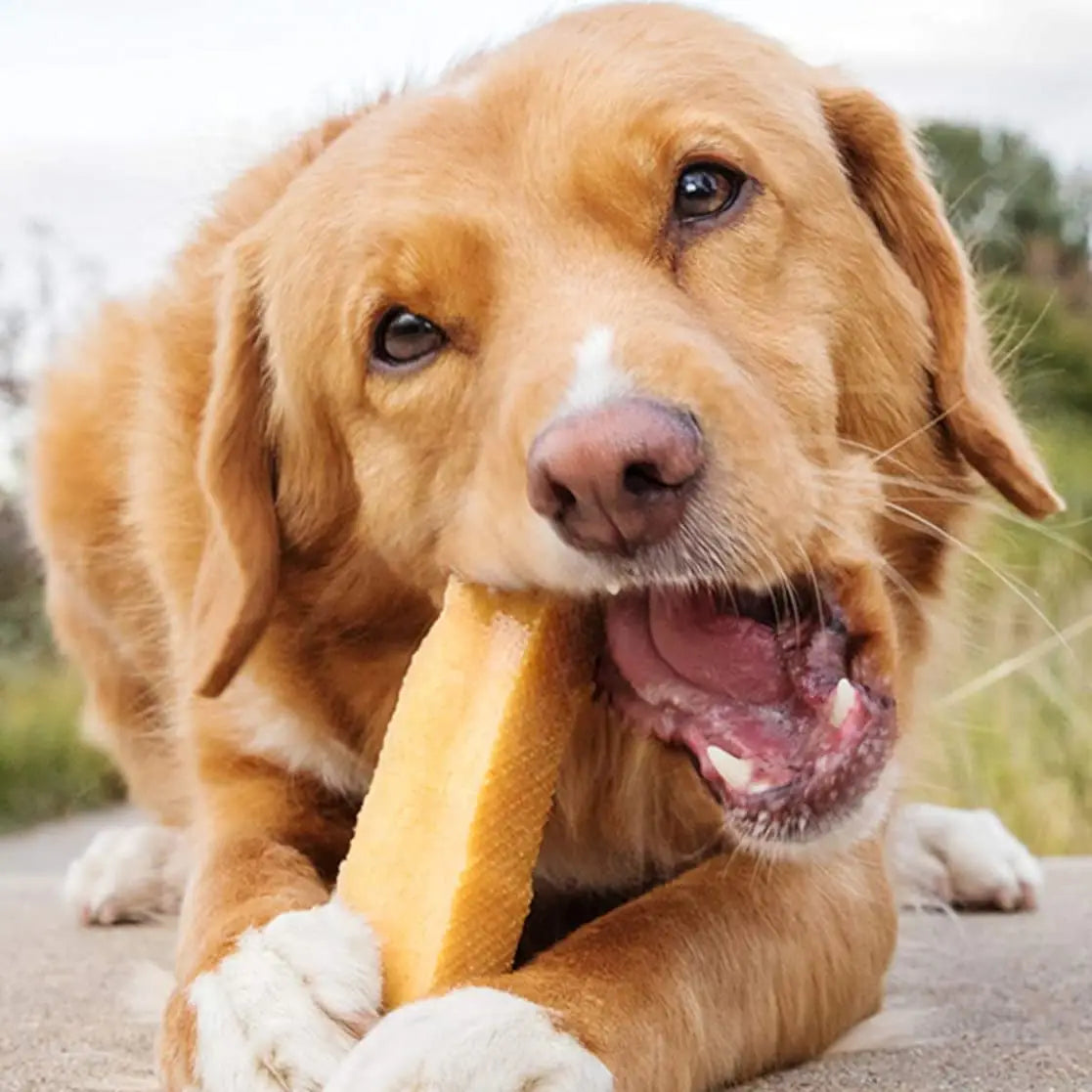 Yak Chew Bar (Large) - All Natural Dog Treats
