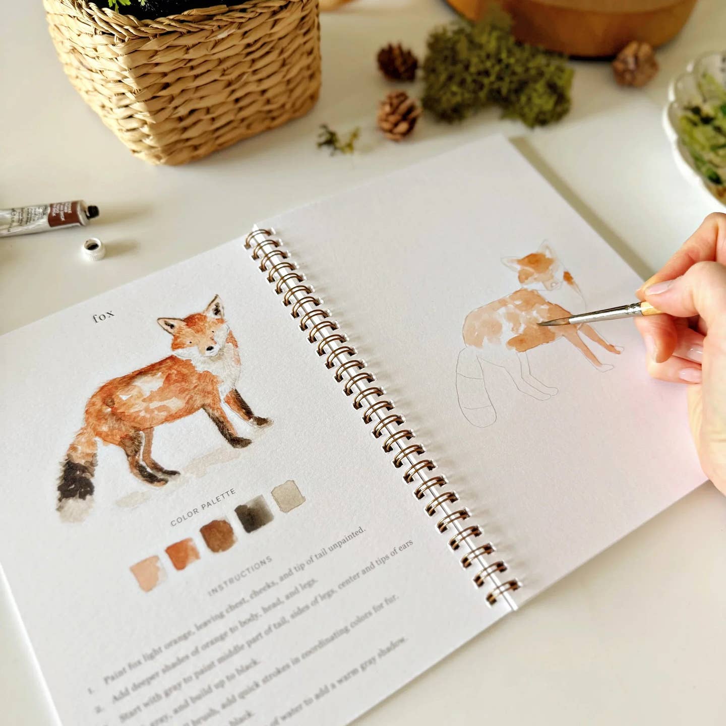 Woodland-Watercolor Workbooks