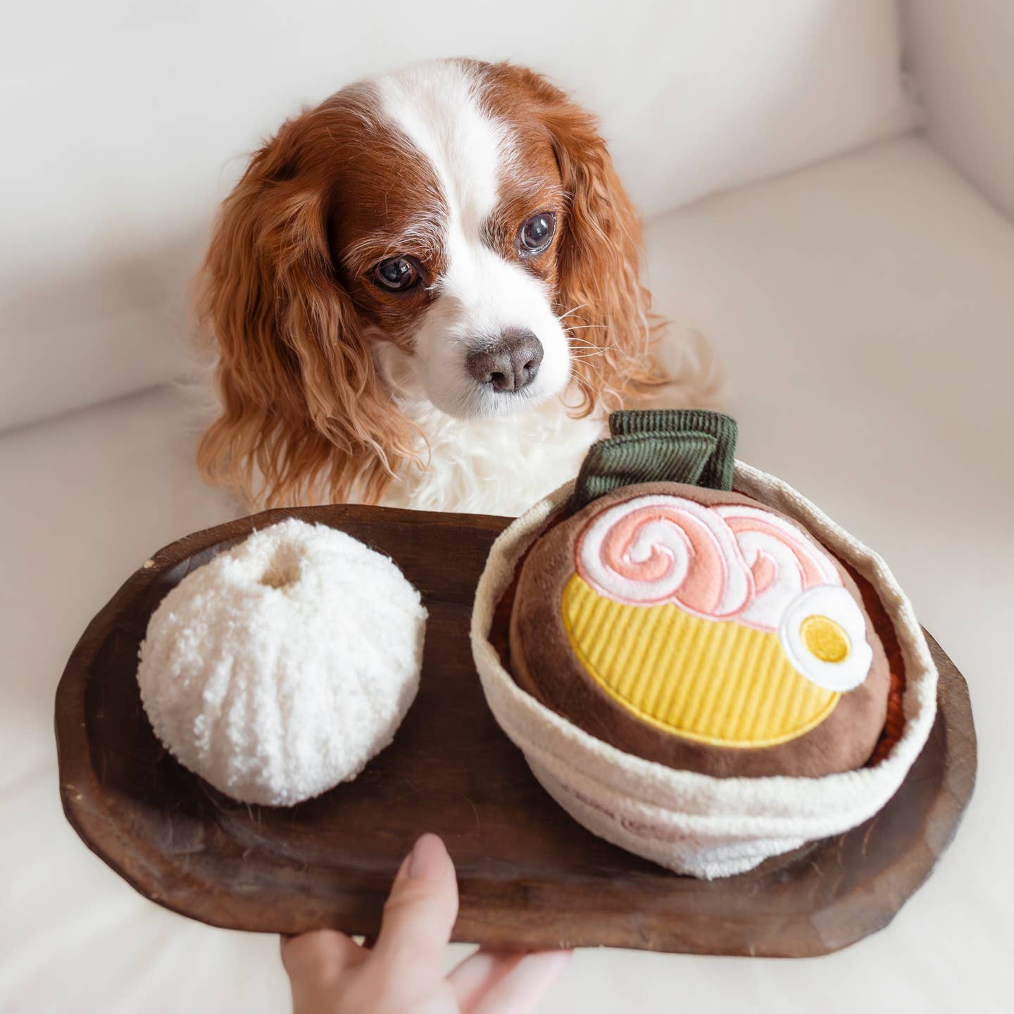 Ramen Enrichment Toy