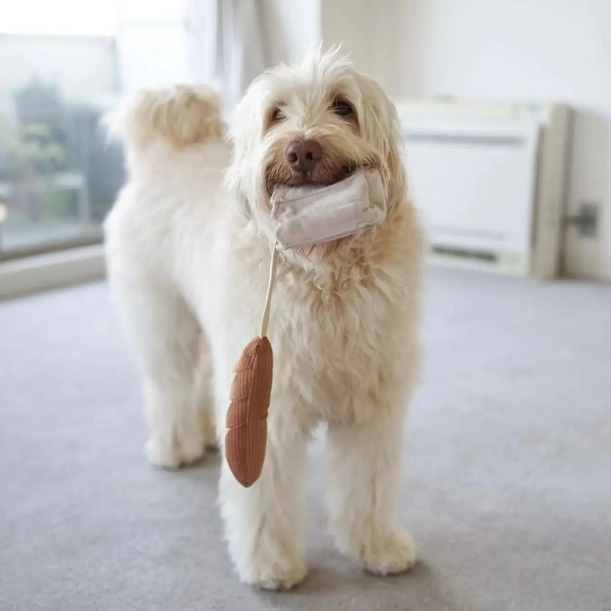 Mini Baguette Dog Toy