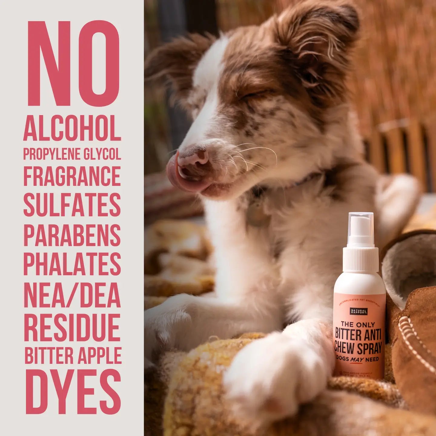 Anti-Chew Spray