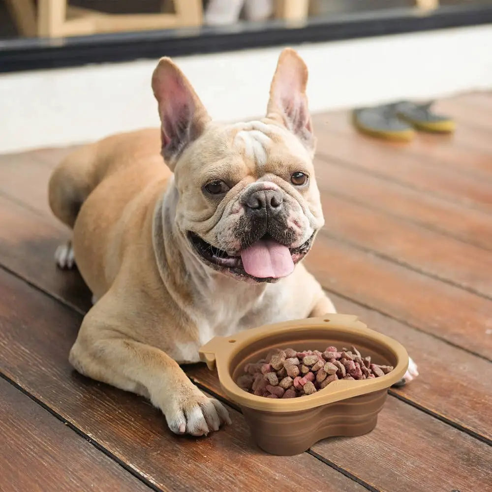 Howligans - Collapsible Dog Bowl