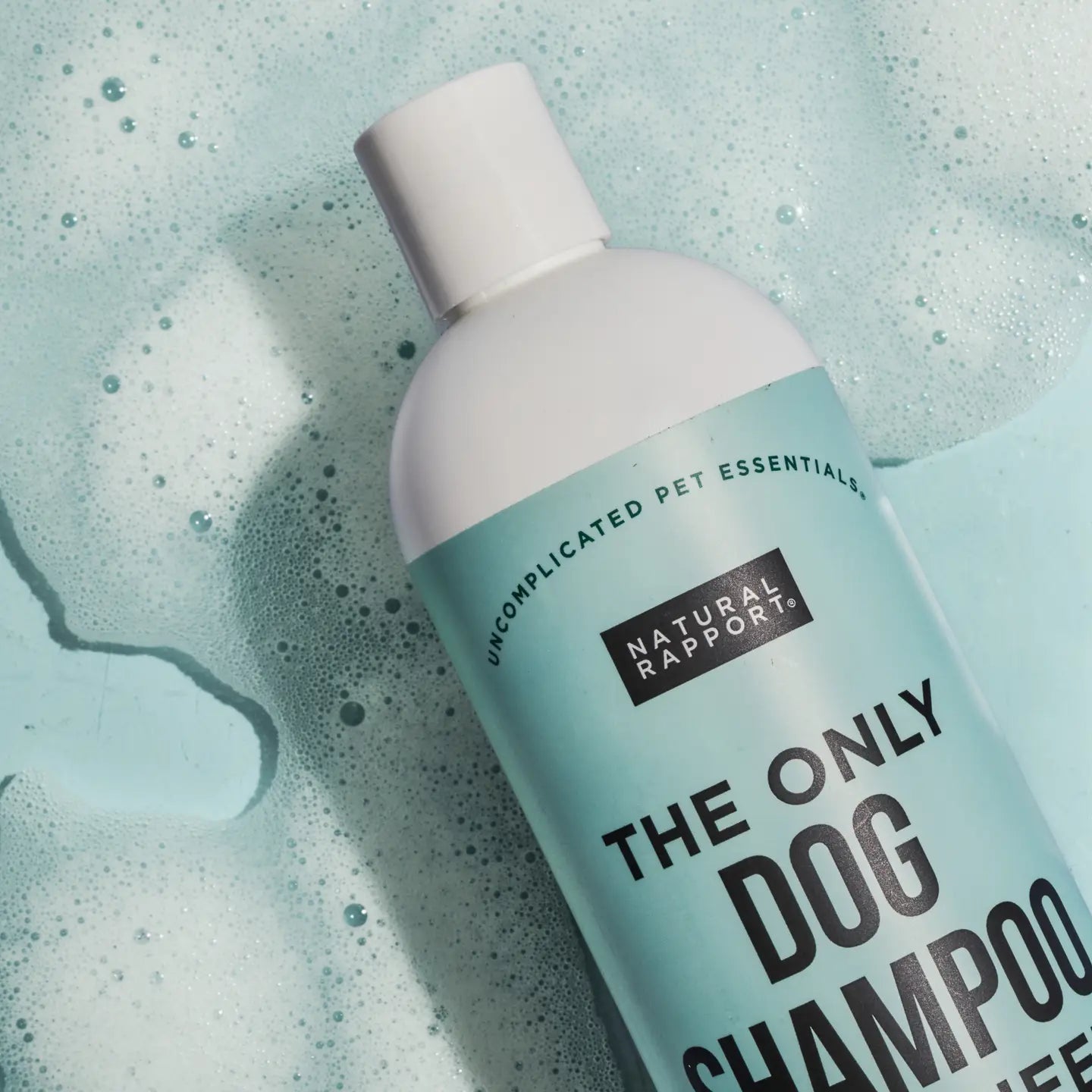 Dog Shampoo Dogs Need