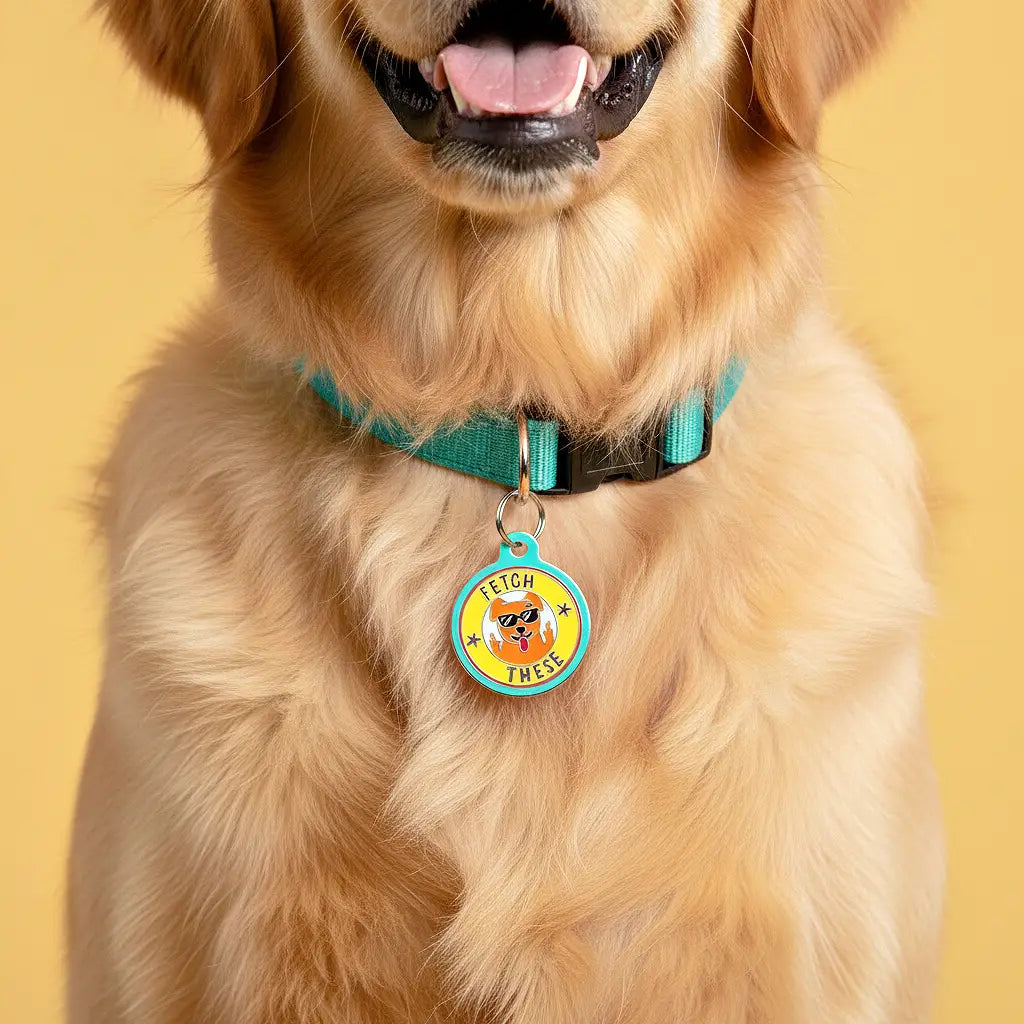 Pet ID Tags- Fetch These