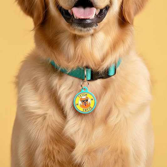 Pet ID Tags- Fetch These