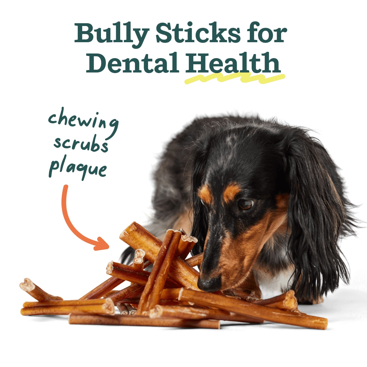 Beef BullySticks-BullySafe Chews- Long-Lasting