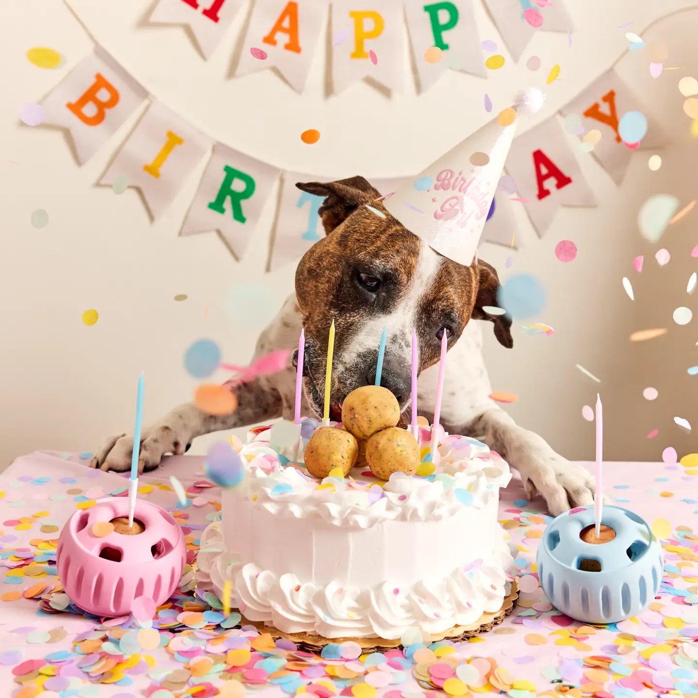Pupsicle Birthday Pops - S