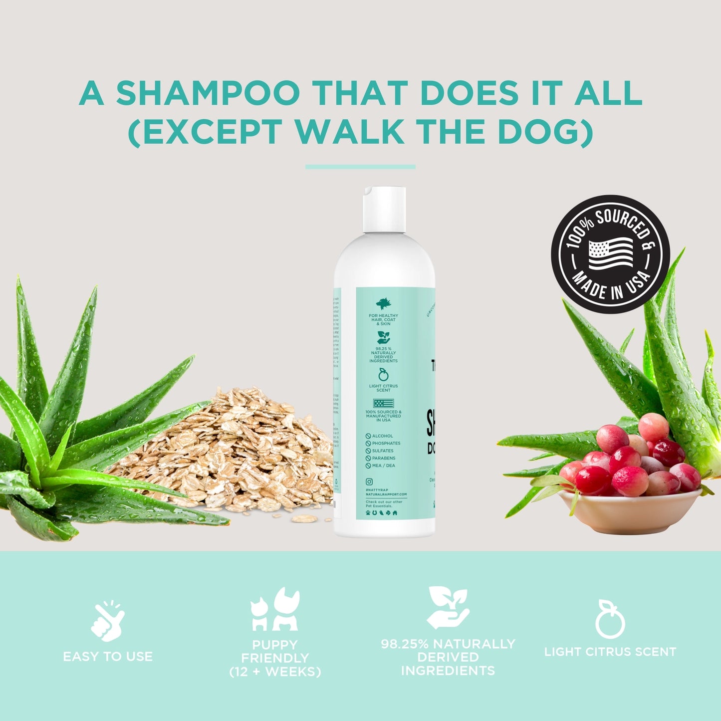 Dog Shampoo Dogs Need
