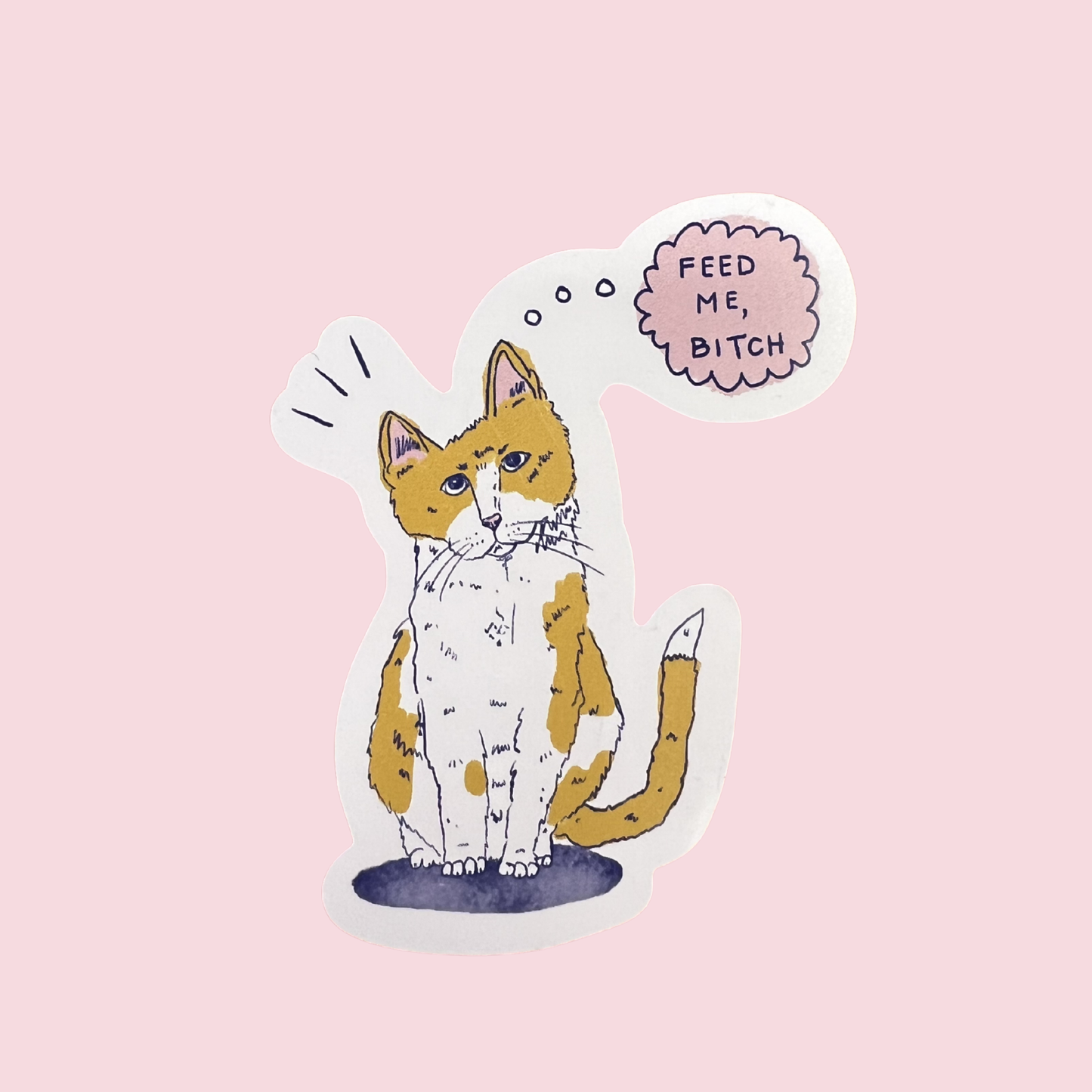 “Feed Me Bitch!” Cat Magnet