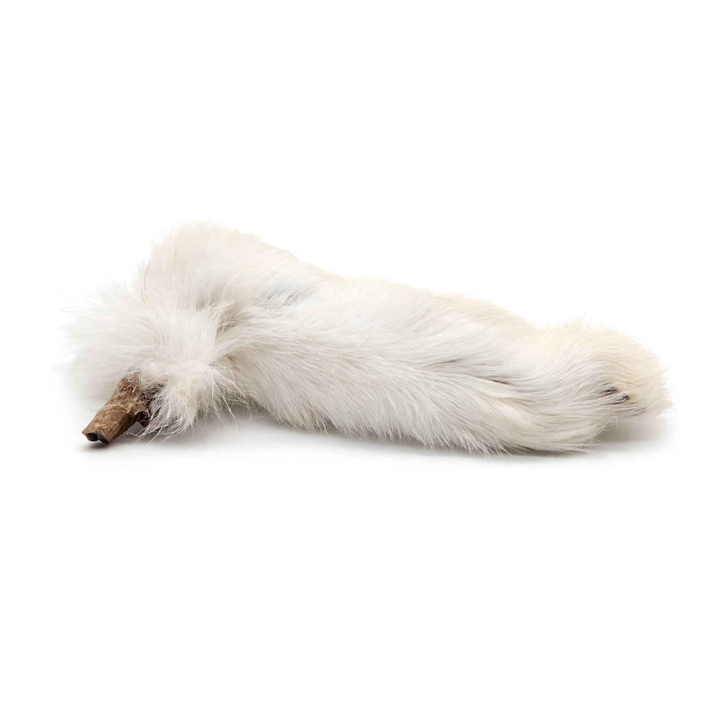 Rabbit Feet With Fur