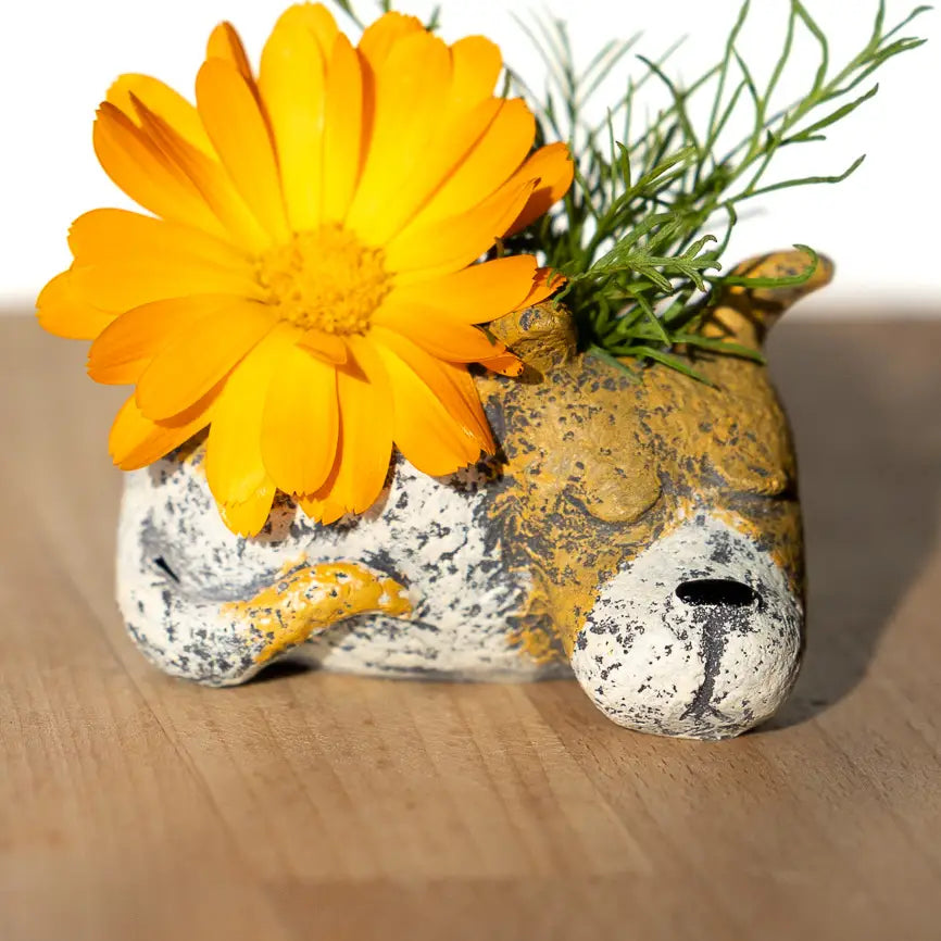 Mini Luna Dog Blobhouse Planter - Brown & White