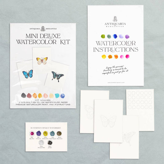 Butterfly - Mini Painting kit