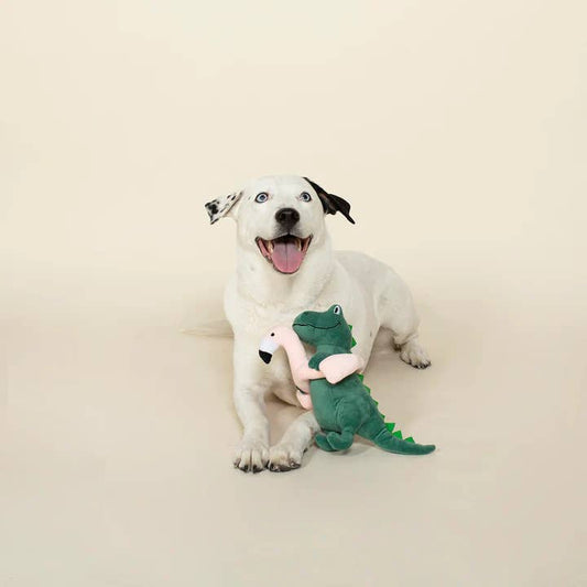 Fringe Studio Pool Time Rex Dog Toy
