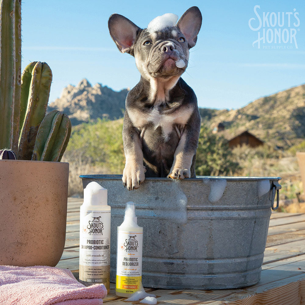 Skout's Honor Probiotic Daily Use Deodorizer Honeysuckle