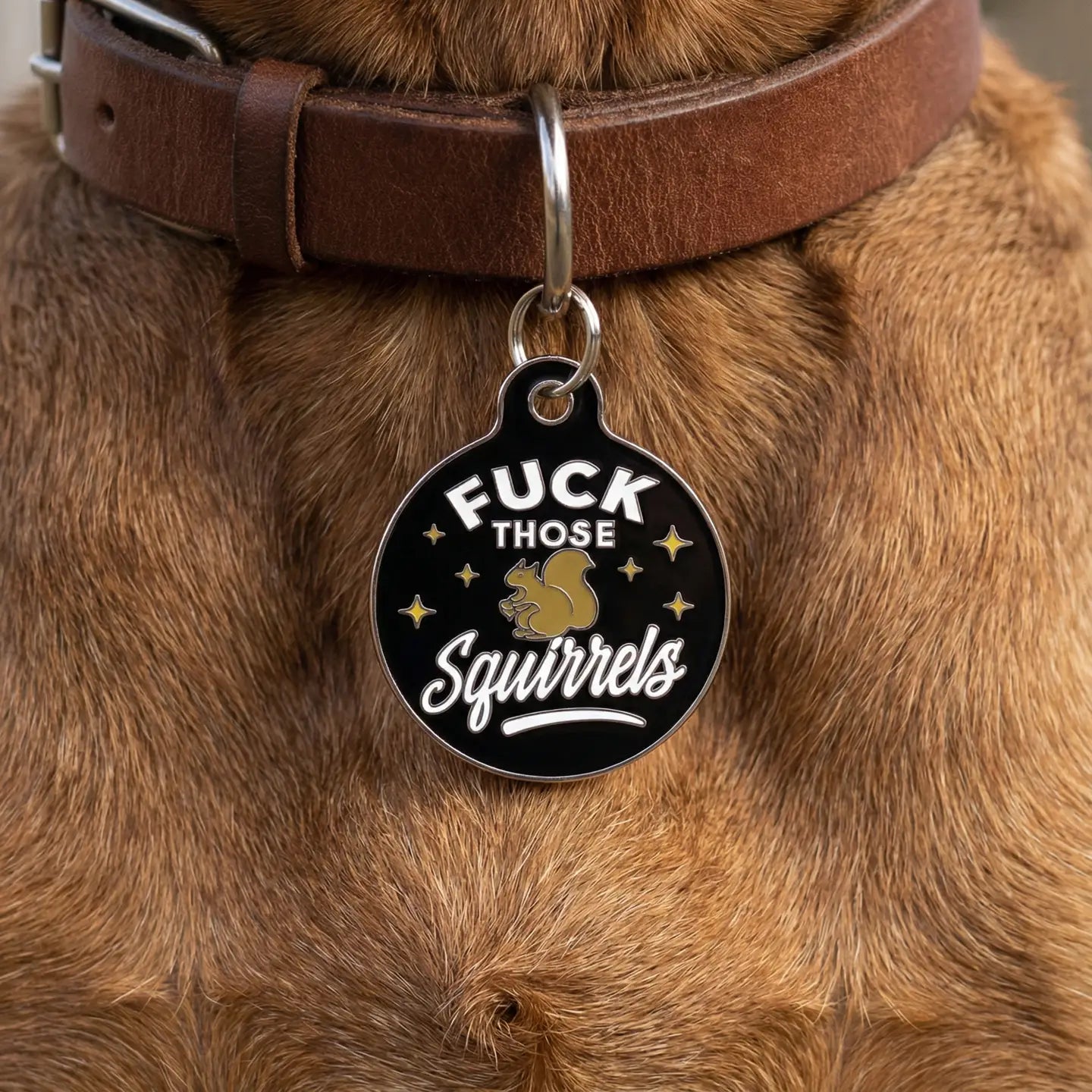 Pet ID Tags- Fuck Those Squirrels