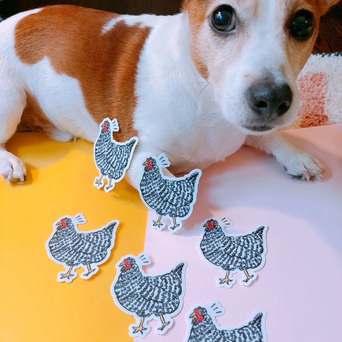 Sassy Chicken Sticker