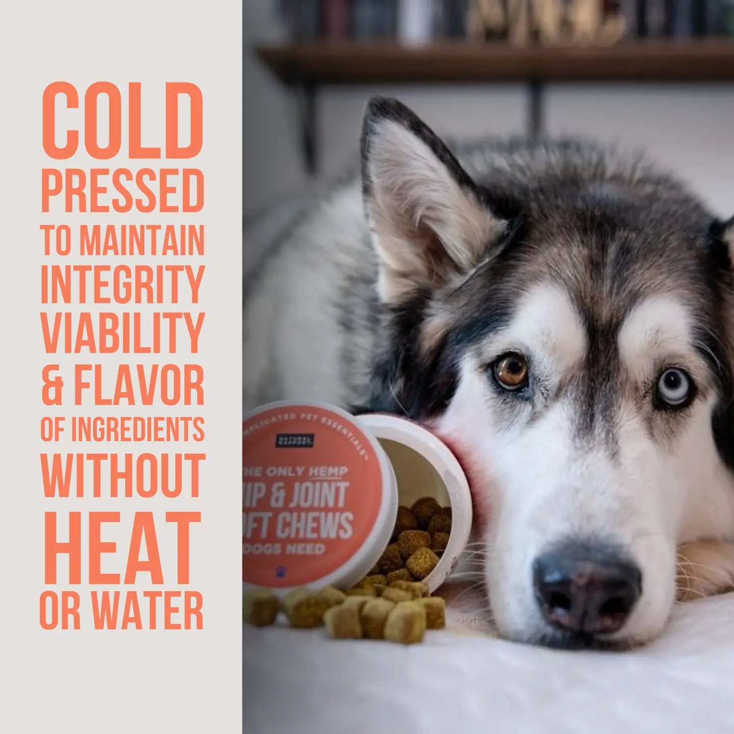Hemp Hip + Joint Soft Chews, 120ct.