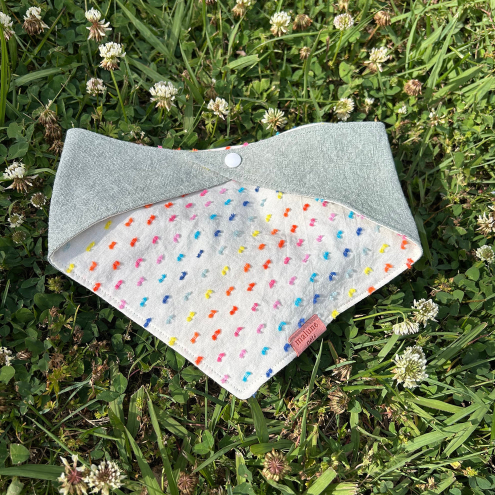 Pride Bandana