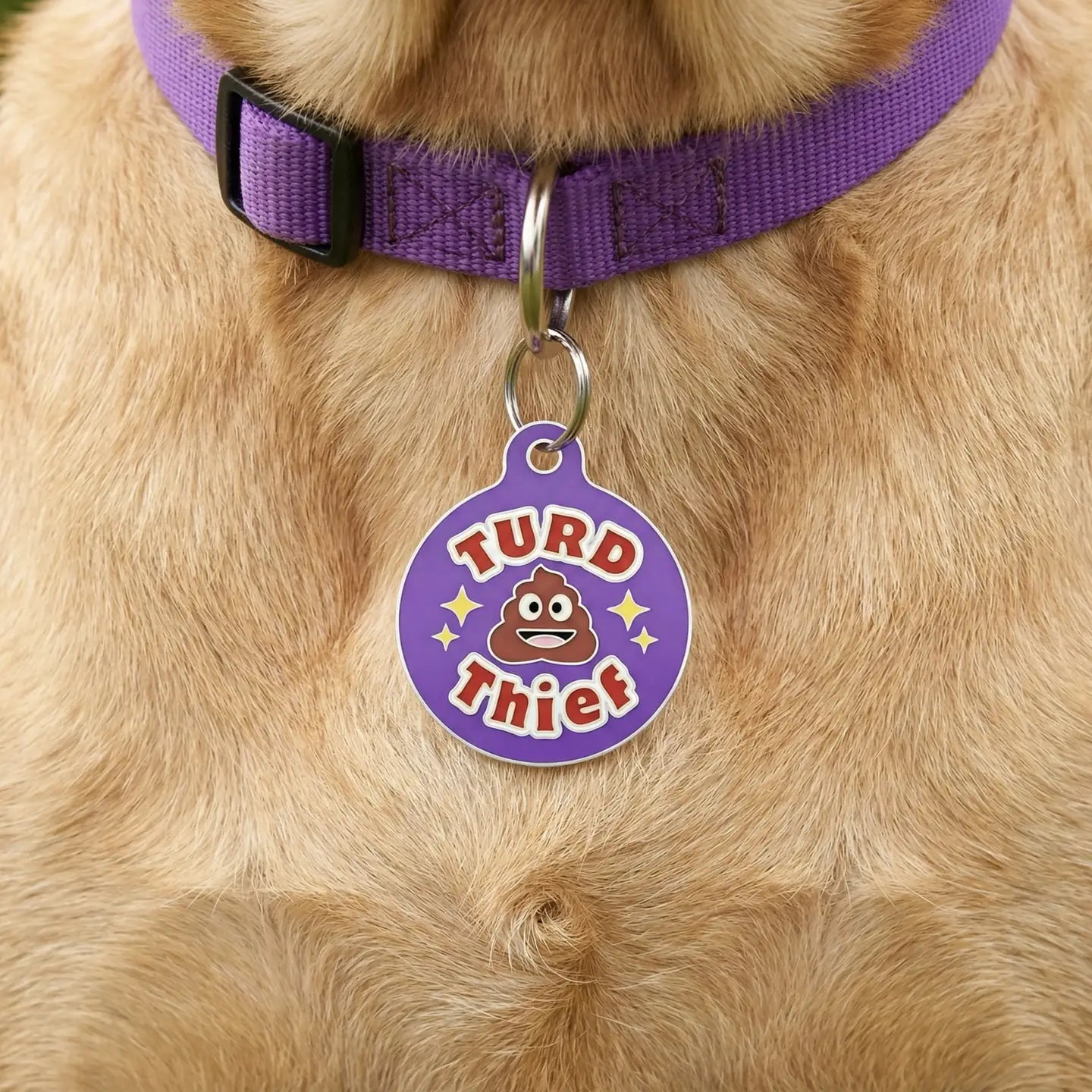 Pet ID Tags- Turd Thief