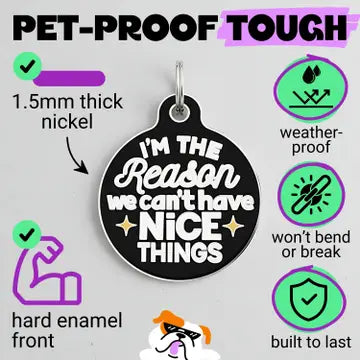 Pet ID Tags- Can’t Have Nice Things