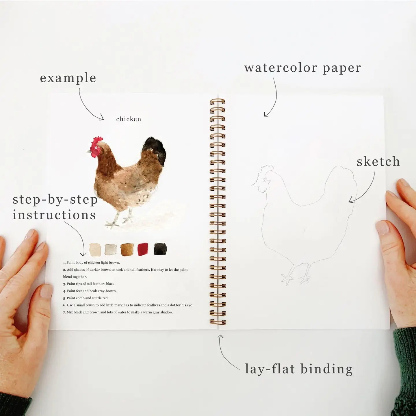 Camping- Watercolor Workbooks