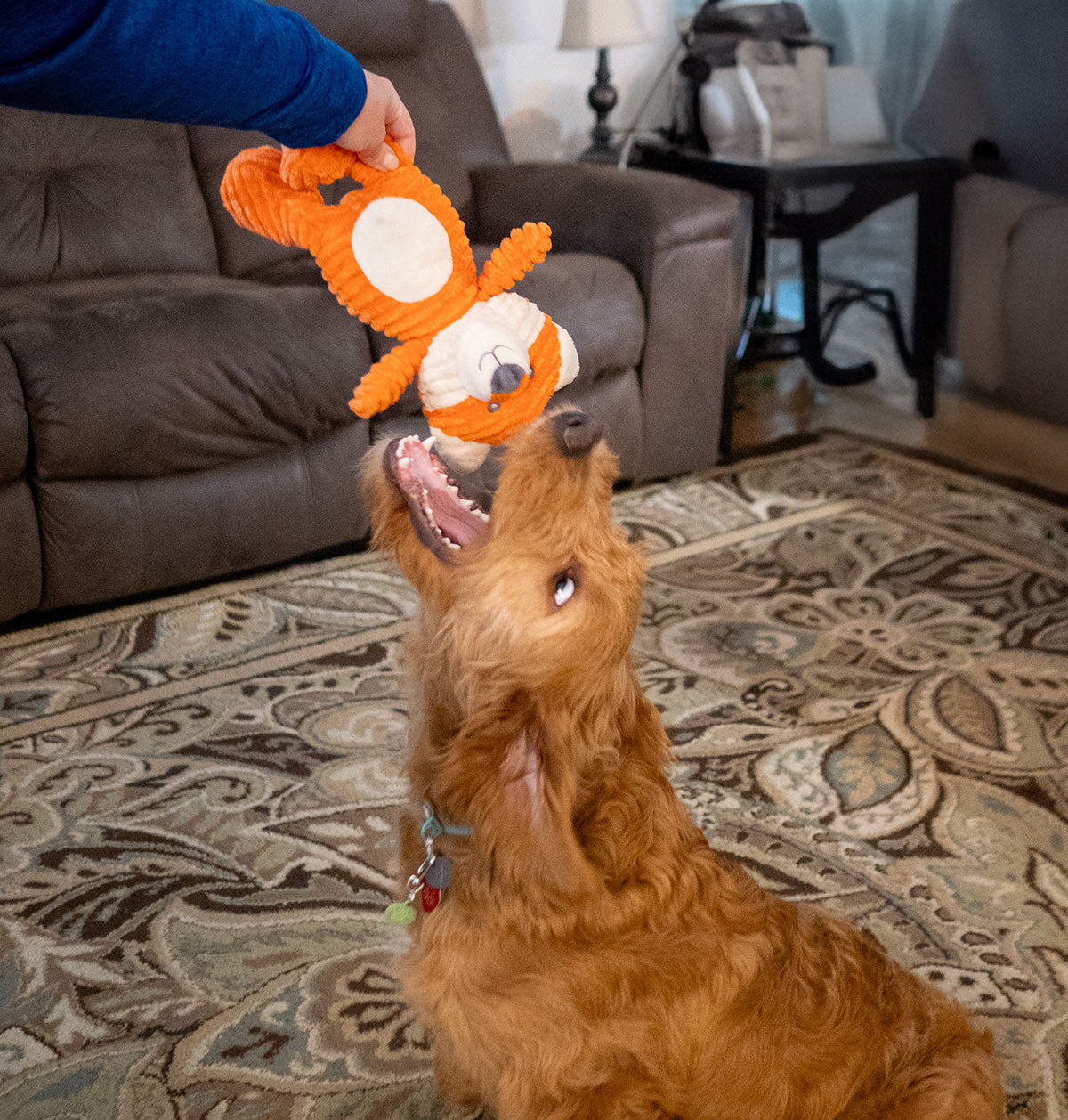 Thoozypet Tuff & Cuddly Fox Dog Toy