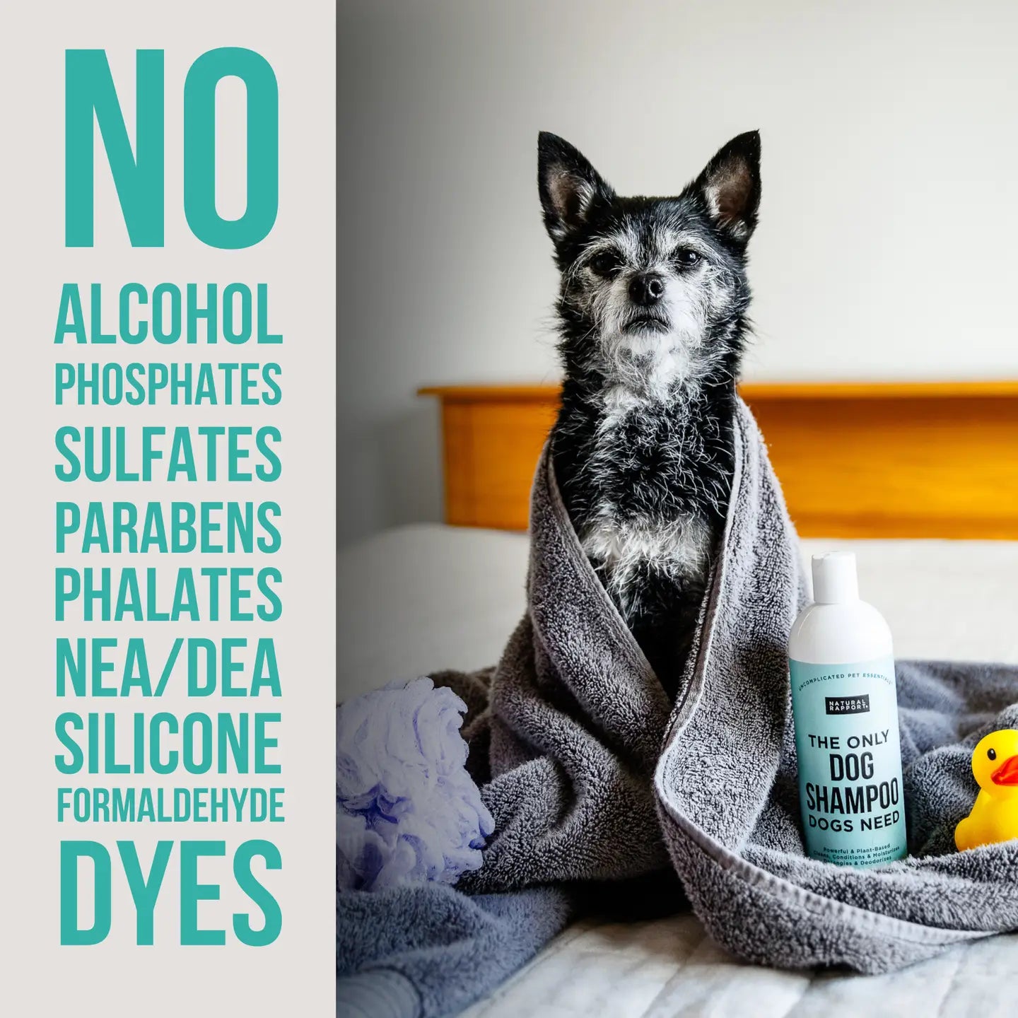 Dog Shampoo Dogs Need