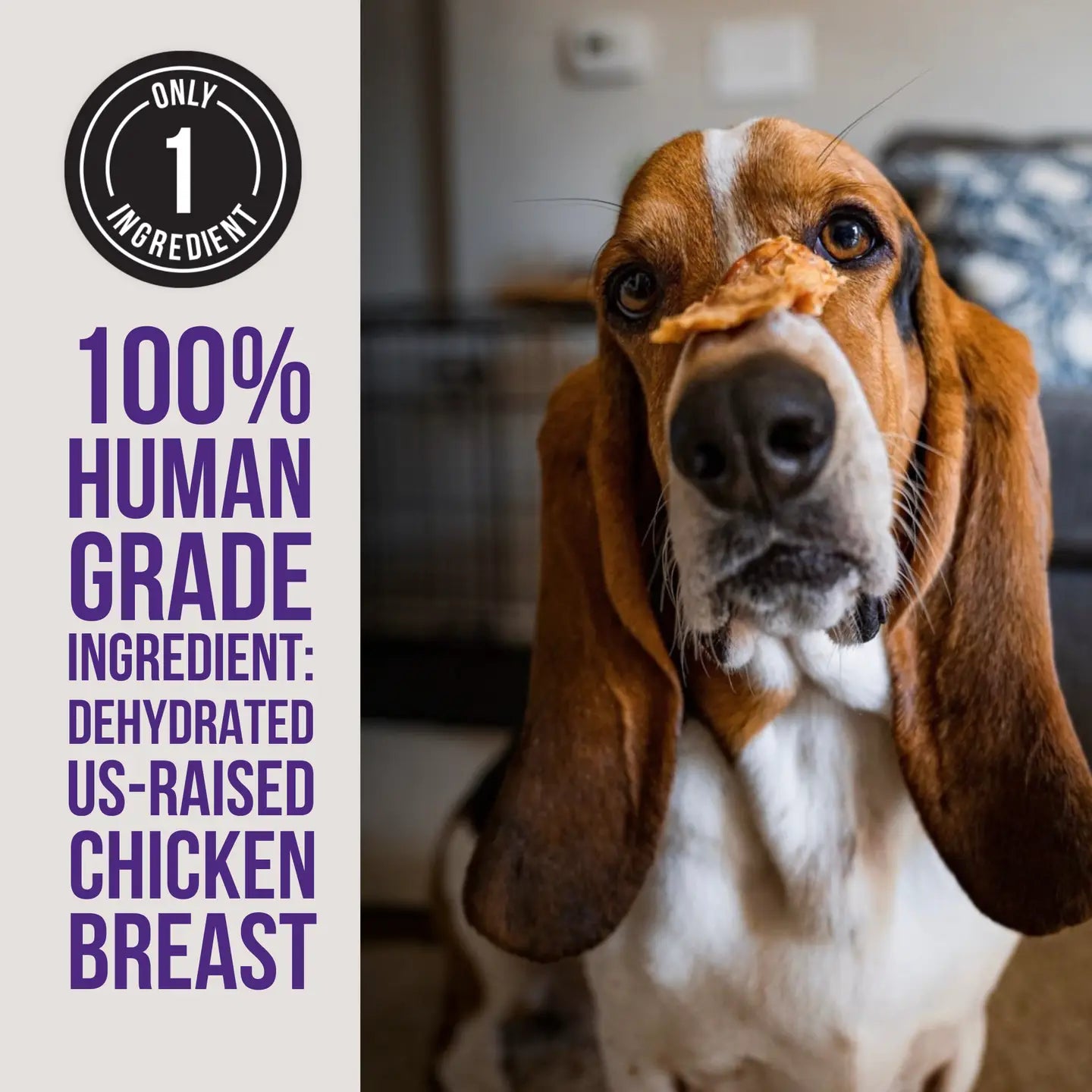 Dehydrated Chicken Jerky, 8oz.