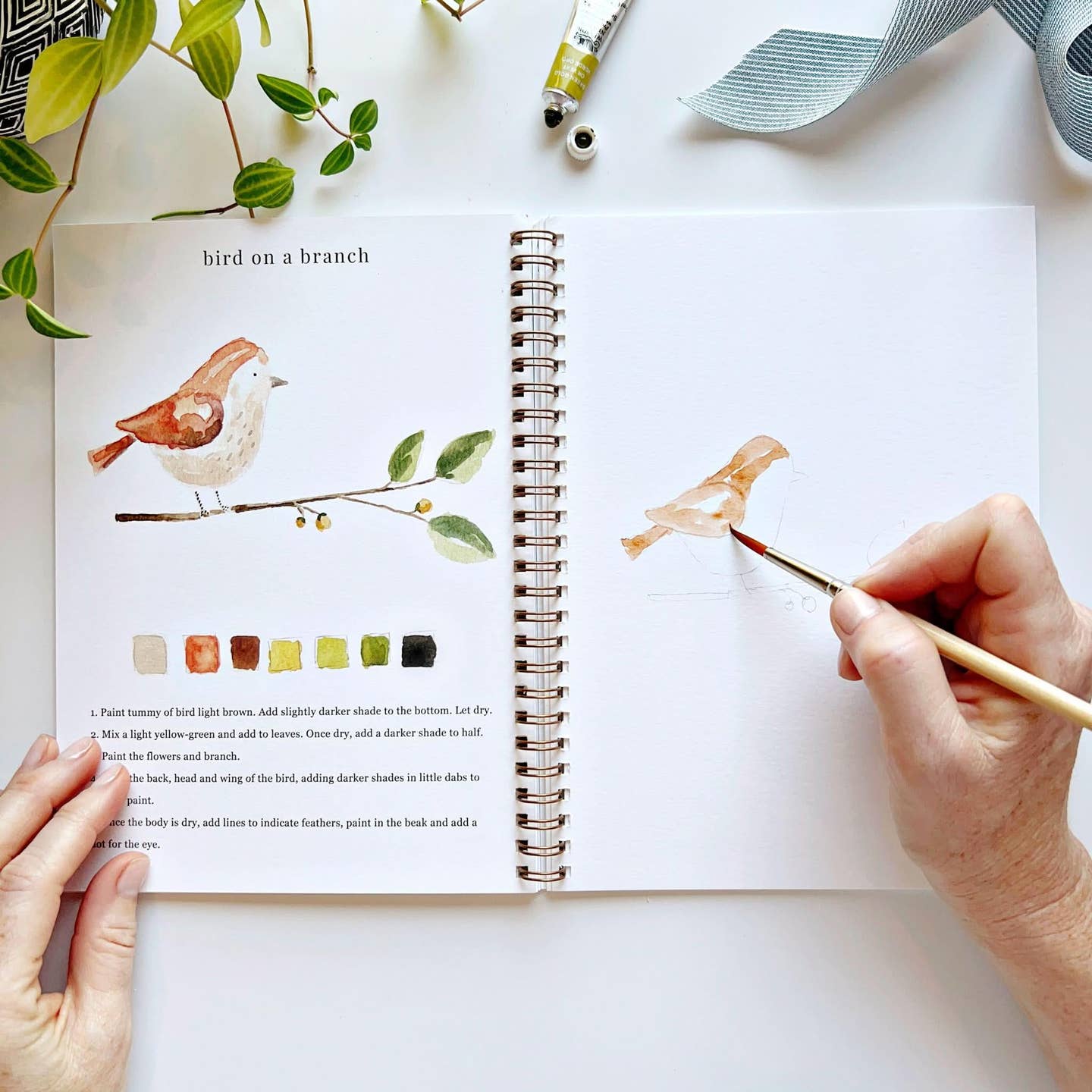 Animals- Watercolor Workbooks