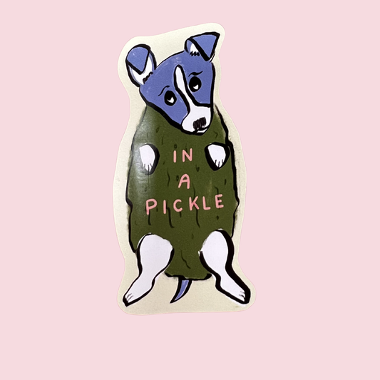 In A Pickle Magnet
