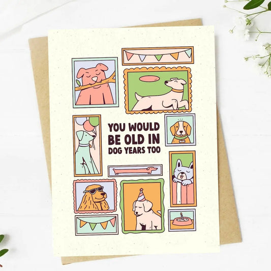 "You Would Be Old in Dog Years Too" Birthday Card